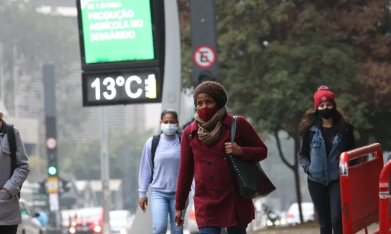 Primeira onda de frio de 2026 derruba temperaturas abaixo de zero no Sul e leva geada a São Paulo